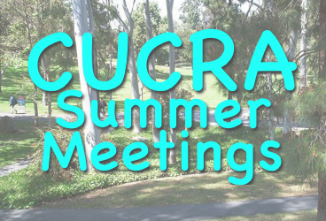 Summer Update image