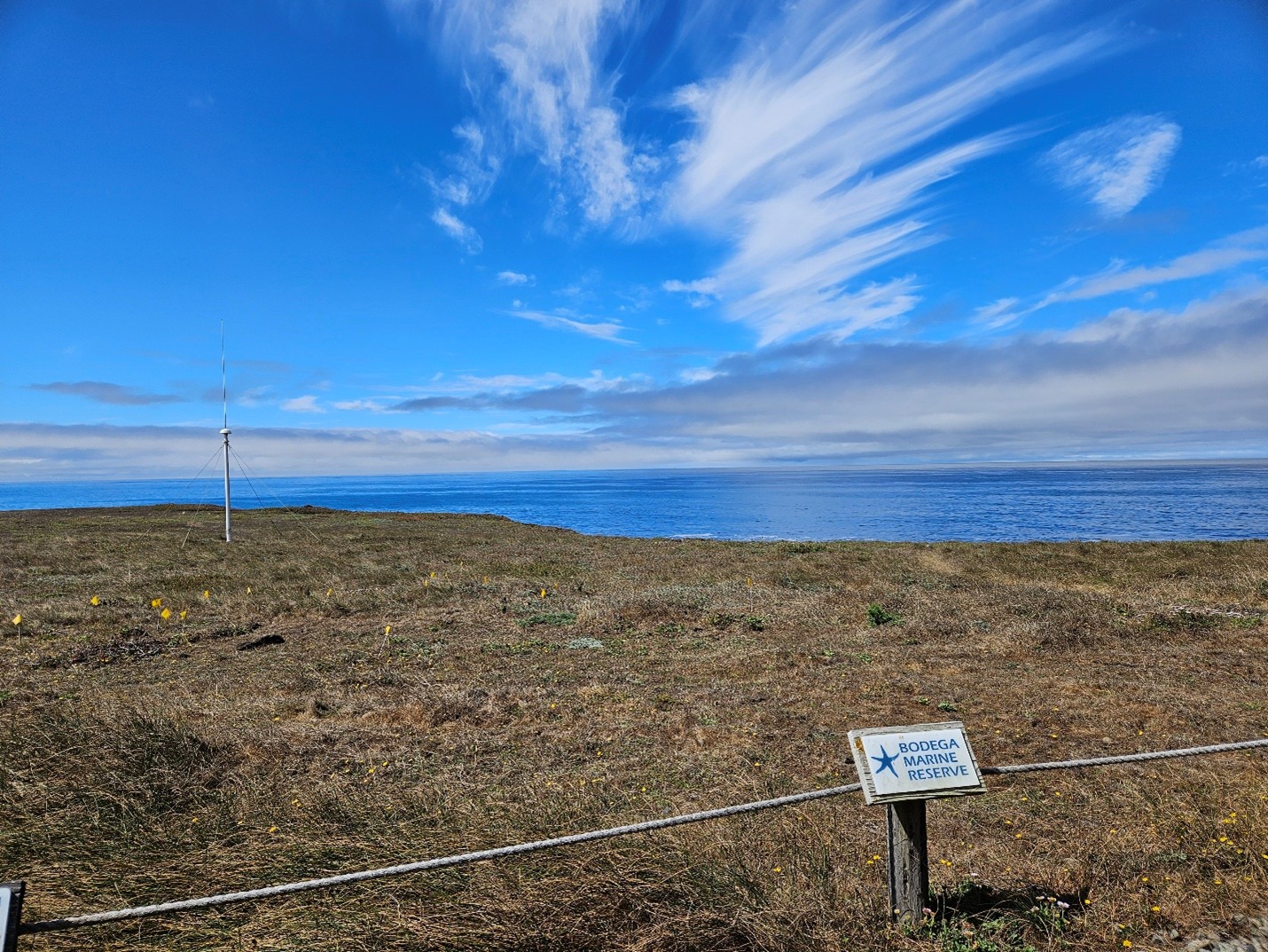 Bodega Marine Reserve